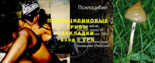 героин Вяземский