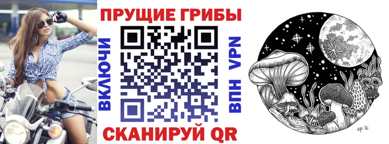Галлюциногенные грибы прущие грибы Черноголовка